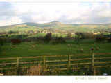 green pastures... by fogz, Photography->Landscape gallery green pastures... by fogz, Photography->Landscape gallery