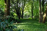 Sunny Patches by Ramad, photography->gardens gallery Sunny Patches by Ramad, photography->gardens gallery