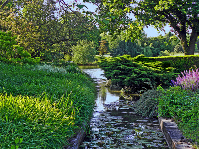 Click here to view at full resolution.