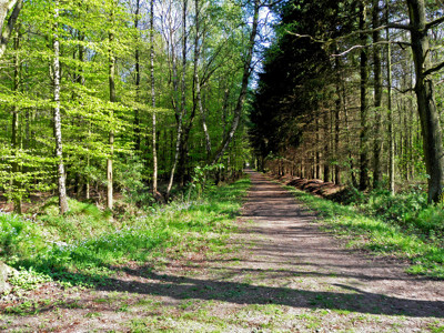 Click here to view at full resolution.