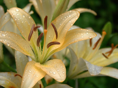 Click here to view at full resolution.