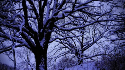 Click here to view at full resolution.