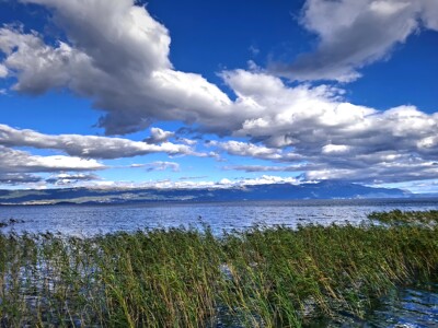 Click here to view at full resolution.