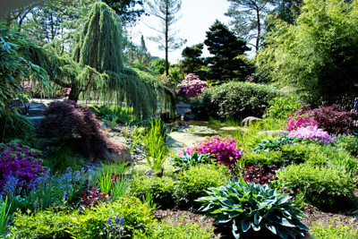 Click here to view at full resolution.