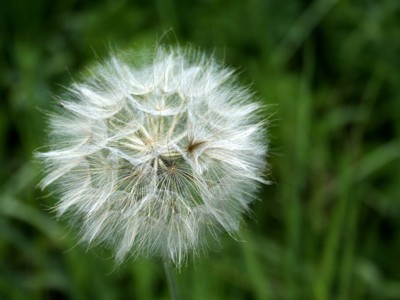 Click here to view at full resolution.