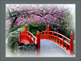 It's Cherry Blossom Time by LynEve, Photography->Bridges gallery