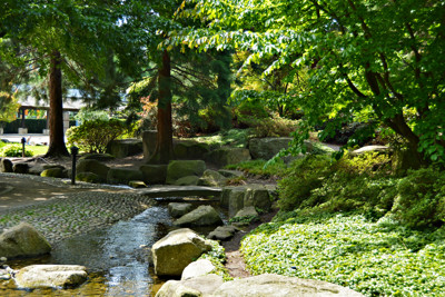 Click here to view at full resolution.