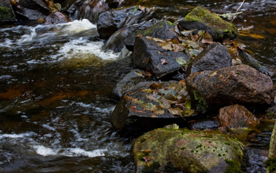 Click here to view at full resolution.