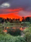 Another Morning in the Park by Starglow, photography->landscape gallery