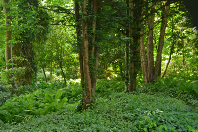 Click here to view at full resolution.