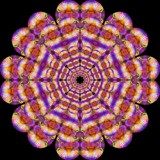 Iris by sunny184, computer gallery
