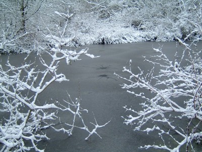 Click here to view at full resolution.