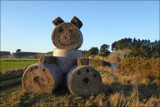 Meet Mr Haybale by LynEve, photography->general gallery