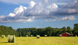 Food For The Cows  by PatAndre, Photography->Landscape gallery