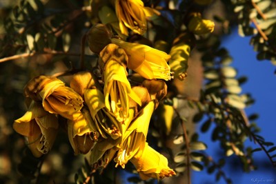 Click here to view at full resolution.