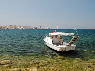 Click here to view at full resolution.