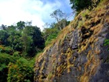 Nilgiri hills-3 by sahadk, photography->landscape gallery