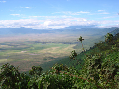 Click here to view at full resolution.