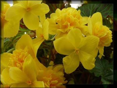 Click here to view at full resolution.