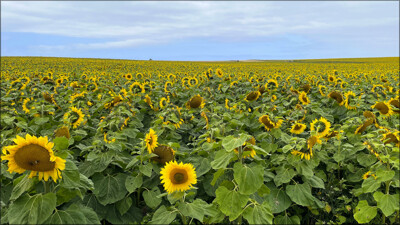 Click here to view at full resolution.