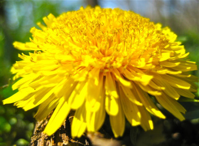 Click here to view at full resolution.