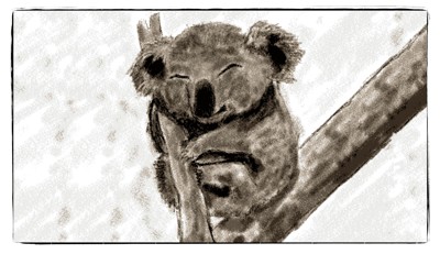 Click here to view at full resolution.