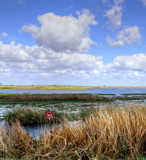 Water World Louisiana Style # 3 by PatAndre, photography->water gallery