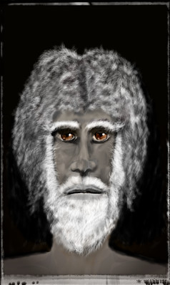 Click here to view at full resolution.