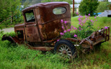 An Old Flower Pot by bingwa, photography->flowers gallery