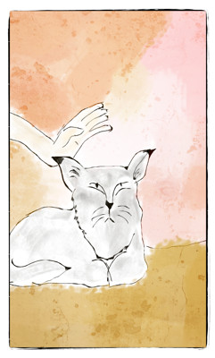 Click here to view at full resolution.