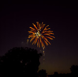 Evening Fireworks by Pistos, photography->fireworks gallery