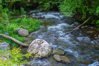 Click here to view at full resolution.