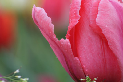 Click here to view at full resolution.