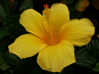 Click here to view at full resolution.