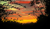 Over The Fence by LynEve, photography->sunset/rise gallery
