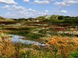 Schiermonnikoog island,Netherlands by 89037, Photography->Landscape gallery