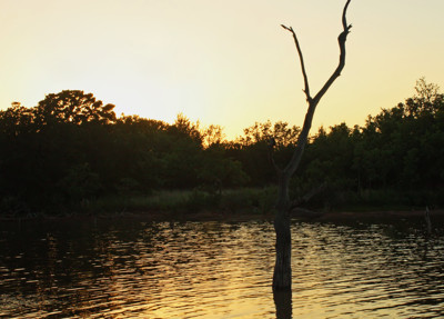 Click here to view at full resolution.