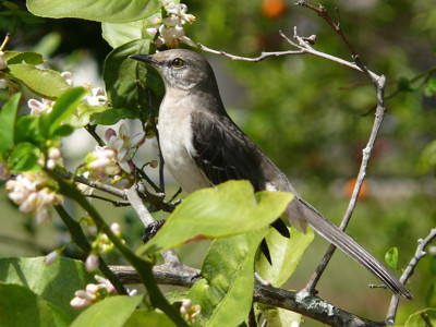 Click here to view at full resolution.