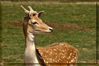 Click here to view at full resolution.