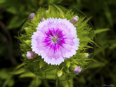 Click here to view at full resolution.