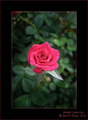 Click here to view at full resolution.