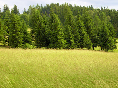 Click here to view at full resolution.