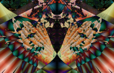 Click here to view at full resolution.