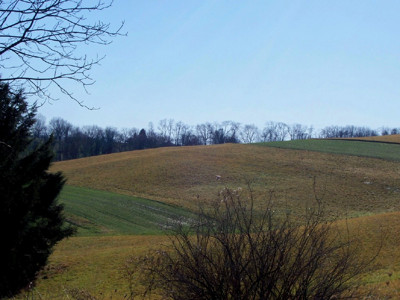 Click here to view at full resolution.