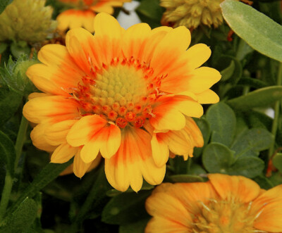 Click here to view at full resolution.