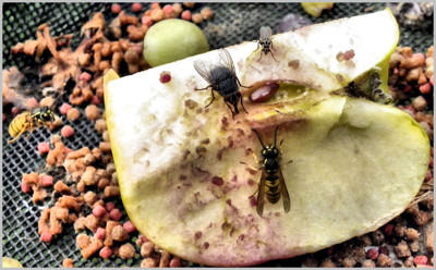 Click here to view at full resolution.