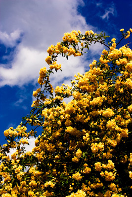 Click here to view at full resolution.
