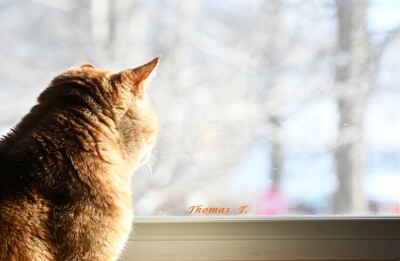 Click here to view at full resolution.