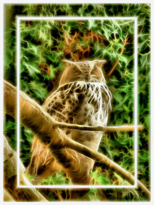 Click here to view at full resolution.