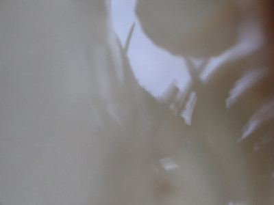 Click here to view at full resolution.